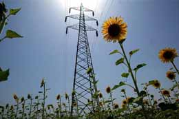 Un traliccio di tensione con un girasole